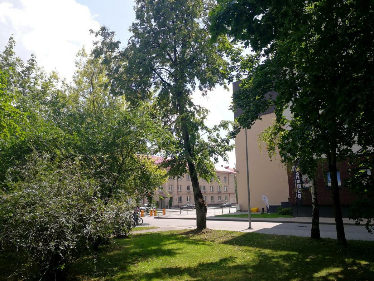 Vilnius Apartment With Stained Glass 外观 照片